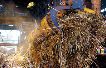 Report: Brazil to Lead in Biomass Power