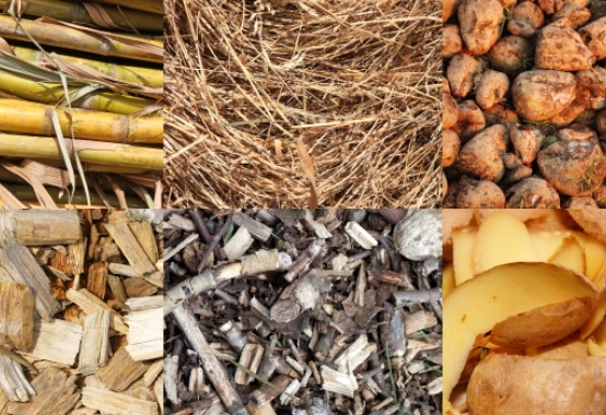 Potential for growth of up to 60% in the coming years, biomass drives energy cogeneration Potential for growth of up to 60% in the coming years, biomass drives energy cogeneration