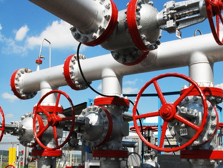 "Conceptual Model of the Gas Market in the Union's Competence Sphere" has a previous consultation initiated by the ANP