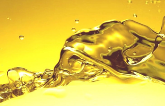 Positioning of IBP on the approval of the Future Fuel Bill