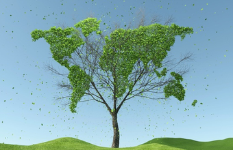 IBP supports Sustainable Business Day