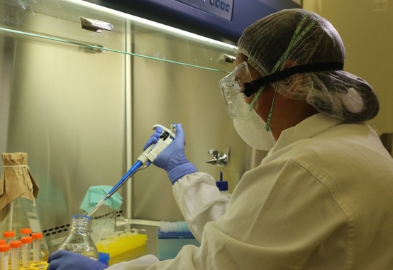Laboratories of the Ministry of Agriculture will be used to analyze coronavirus tests Laboratories of the Ministry of Agriculture will be used to analyze coronavirus tests