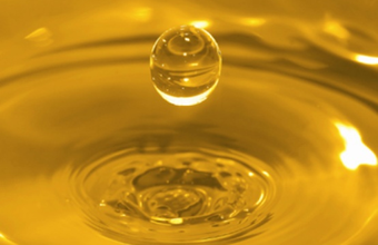 Public notice of the 79th Biodiesel Auction is published by ANP
