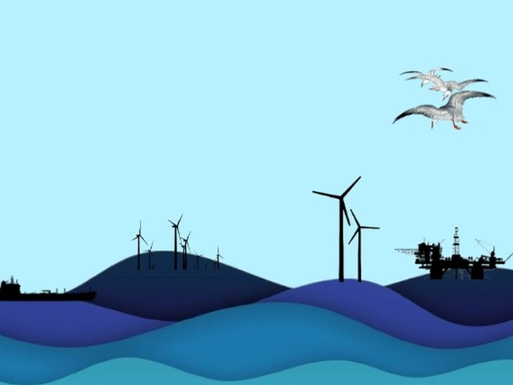 The law that creates the generation of renewable electricity through offshore wind turbines in the country's territorial waters is sanctioned with vetoes.