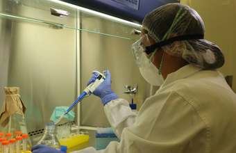 Laboratories of the Ministry of Agriculture will be used to analyze coronavirus tests