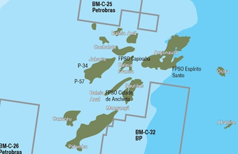Platform bidding for Parque das Baleias in Campos Basin is canceled