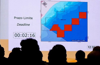 The ANP (National Agency of Petroleum, Natural Gas, and Biofuels) publishes a dynamic panel with information about available blocks and areas.