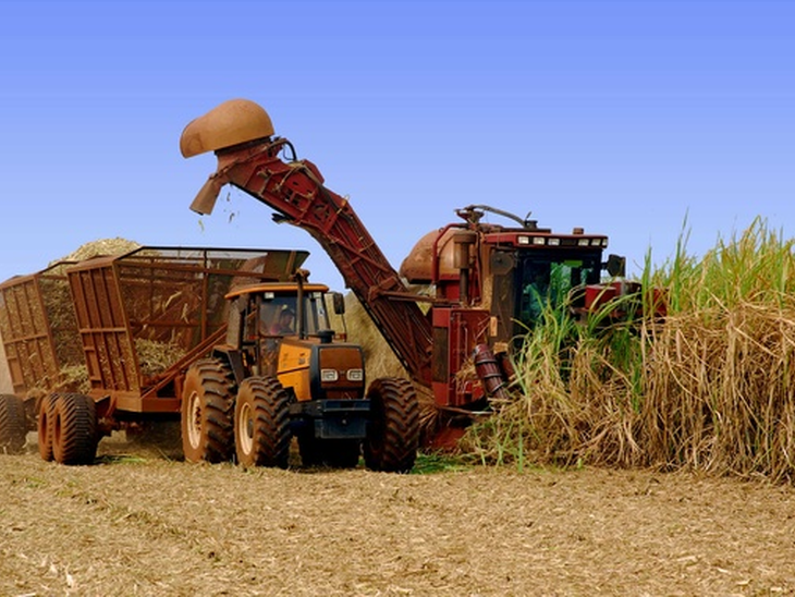 Ethanol: São Paulo market has greater liquidity this week