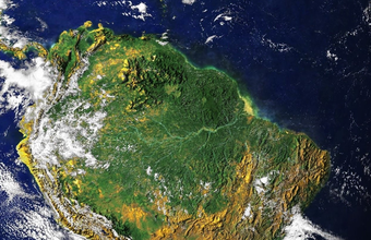 BNDES and Ibama sign Amazon surveillance contract