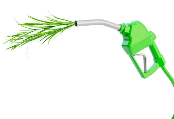Encouraged debentures already total R$ 9 billion in investments in the biofuels sector Encouraged debentures already total R$ 9 billion in investments in the biofuels sector