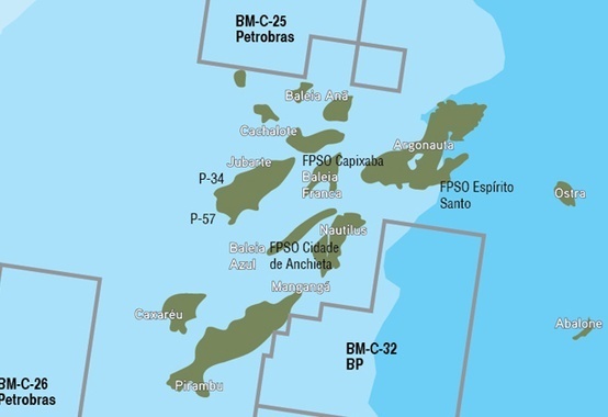 Platform bidding for Parque das Baleias in Campos Basin is canceled Platform bidding for Parque das Baleias in Campos Basin is canceled