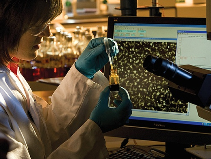 Brazilian research will receive R$ 30 billion over the next 10 years