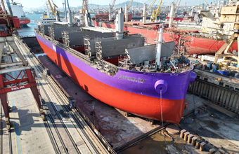 Norsul becomes the first company in Latin America to adopt electrostatic biocide-free anti-fouling coating on a cargo vessel