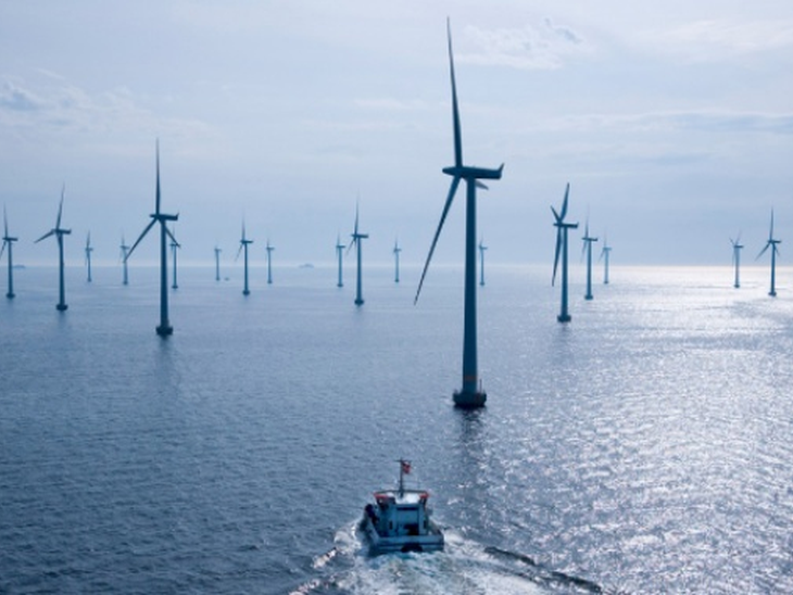 Ibama launches standard term of reference for offshore wind energy complexes