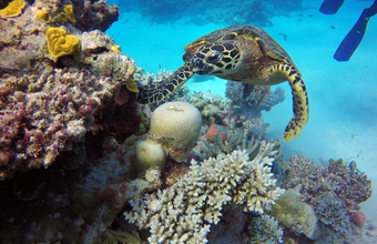 Climate change threatens World Natural Heritage