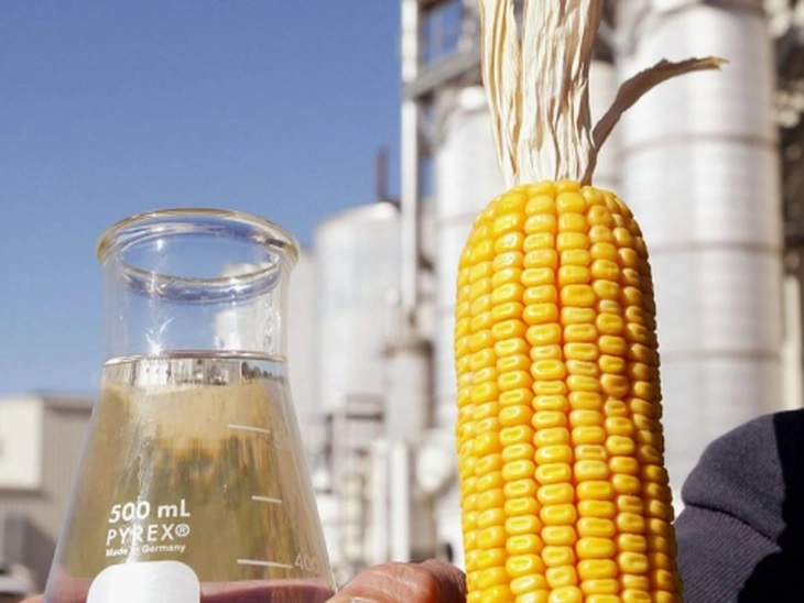 Record production of corn ethanol is presented to the Ministry of Agriculture and Livestock