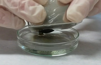 Magnetic materials show potential for treating oil spill