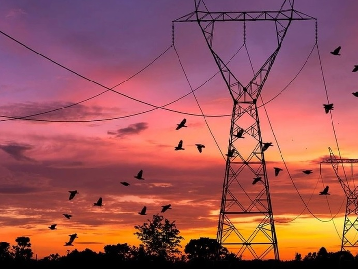 Electricity consumption in Brazil continues to rise.