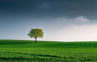 The growth of over 2000% in the ESG term is leading professionals to specialize in the field.