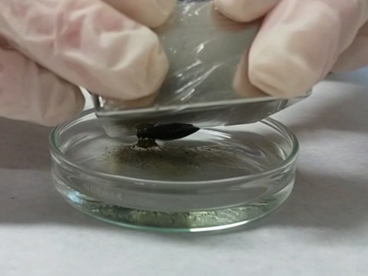 Magnetic materials show potential for treating oil spill