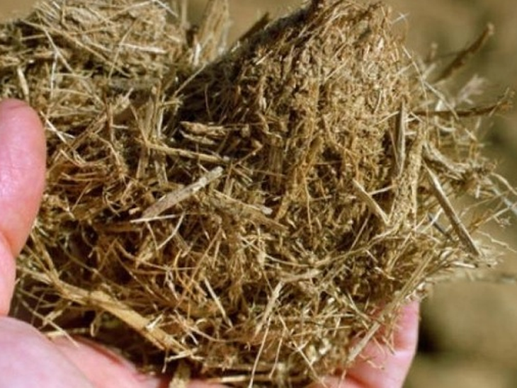 Potential for biogas generation reaches 40% of Itaipu plant