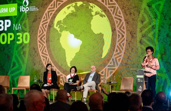 Oil and Gas Sector Reinforces Its Commitment to Energy Transition at IBP's Pre-COP30 Event in Rio de Janeiro