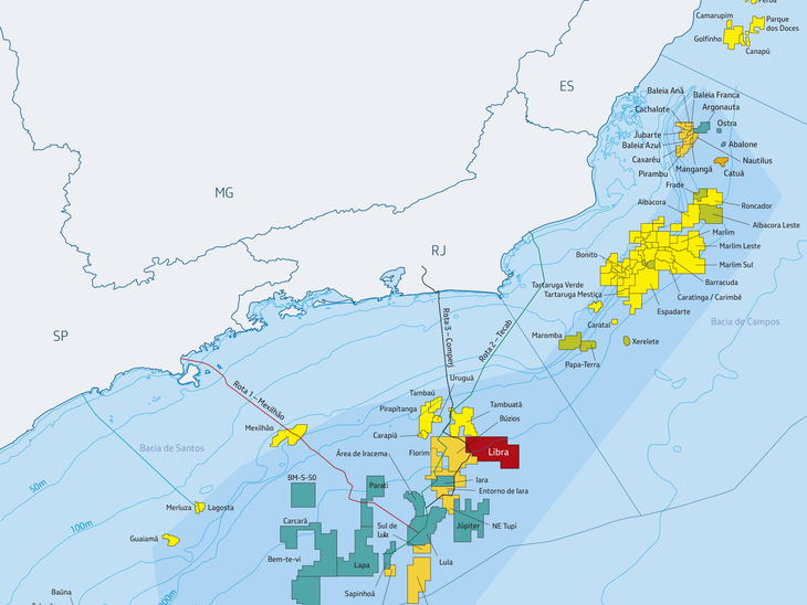 Geological success rate in pre-salt was 100% in 2013