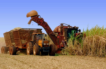 Ethanol: São Paulo market has greater liquidity this week