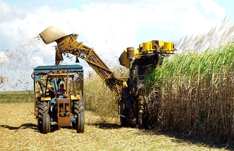 Government will launch program to double biofuel production