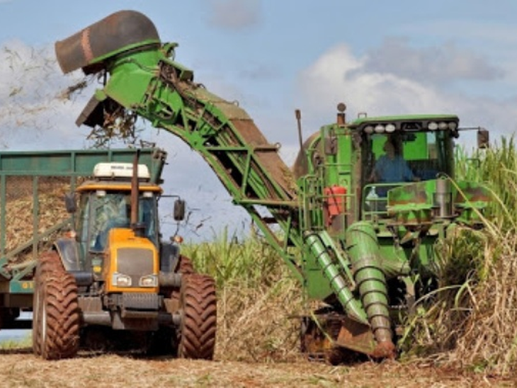 Sugarcane's share of energy generation grows 5.5%