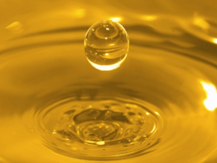 Public notice of the 79th Biodiesel Auction is published by ANP