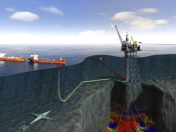 Creation of structure and methodology to meet the decommissioning of offshore platforms at Petrobras