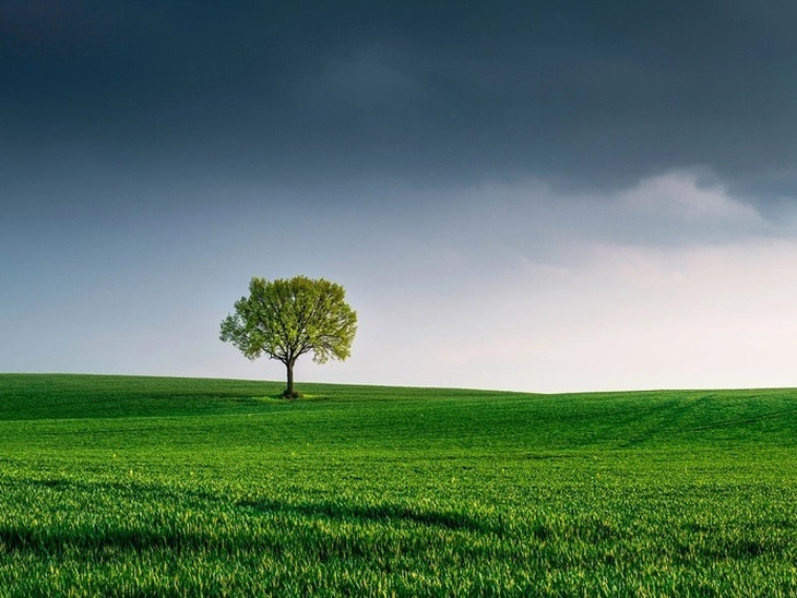 The growth of over 2000% in the ESG term is leading professionals to specialize in the field.