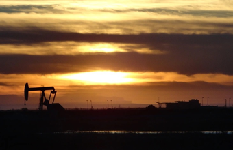 ANP creates working group to study actions aimed at the resumption of the Polo Bahia Terra
