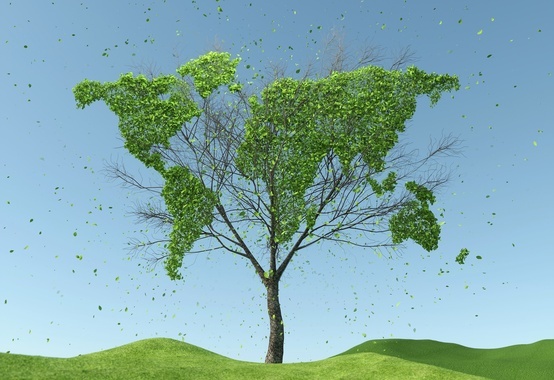 IBP supports Sustainable Business Day IBP supports Sustainable Business Day