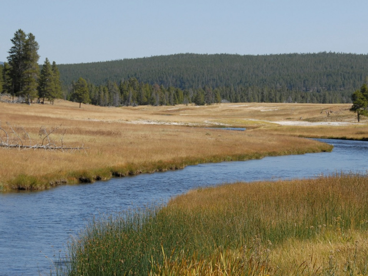 Baker Hughes Foundation Contributes $250,000 to Global Reforestation
