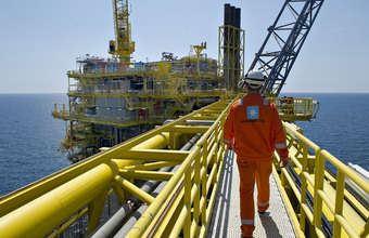 Seven companies were approved yesterday (23/8) and now total 28 registered