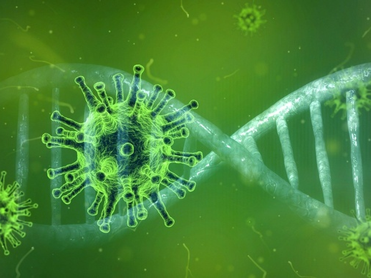 Discovery against covid-19 announced by Chinese scientists