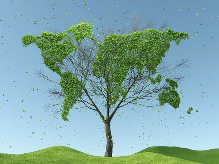 IBP supports Sustainable Business Day