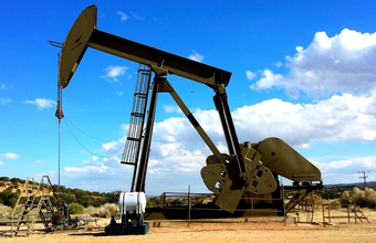 Petrobras puts its onshore fiber optic network up for sale