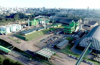 Petrobras starts non-binding phase for sale of BSBios 