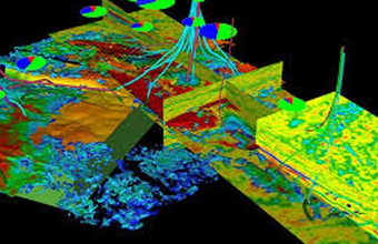 ANP launches Dynamic Production Phase Wells Panel