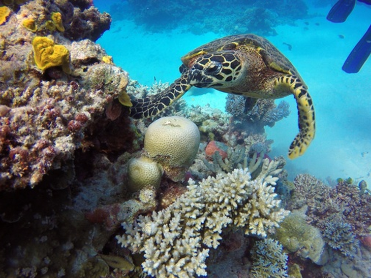 Climate change threatens World Natural Heritage