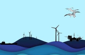 The law that creates the generation of renewable electricity through offshore wind turbines in the country's territorial waters is sanctioned with vetoes.
