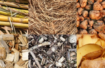 Project with tax benefit for biomass energy production on rural property is approved by the Chamber