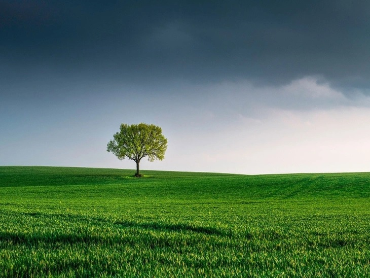 The planet's environmental challenge is more geopolitical than technological, experts say