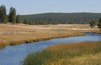 Baker Hughes Foundation Contributes $250,000 to Global Reforestation