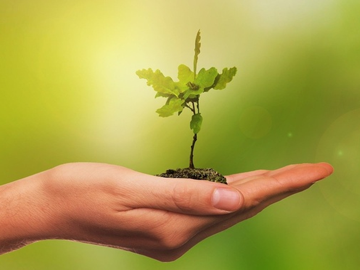 CBios reaches 90% of the target for 2020 with 13 million decarbonization bonds.