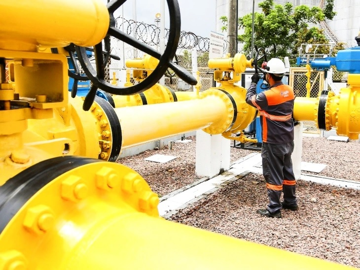 Natural gas consumption in Amazonas registers growth in January