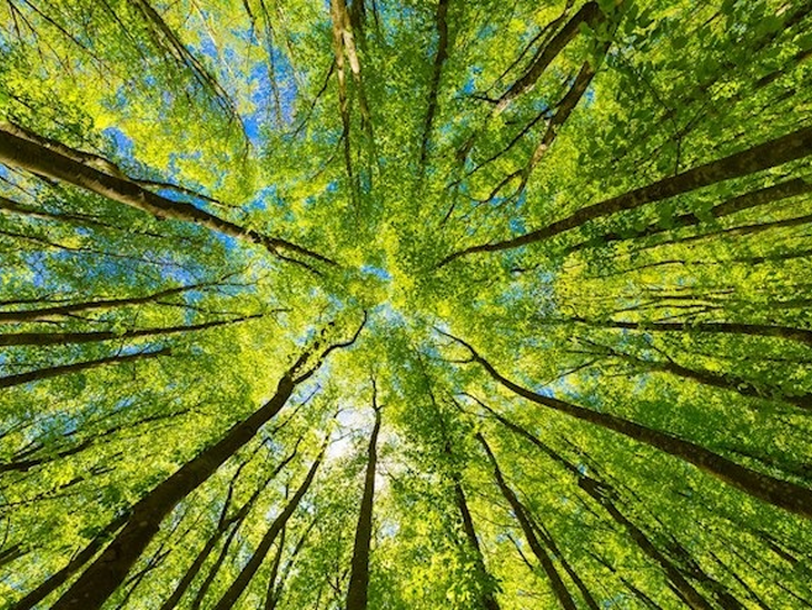 ABB among TIME’s World’s Most Sustainable Companies